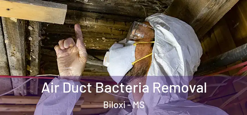  Air Duct Bacteria Removal Biloxi - MS