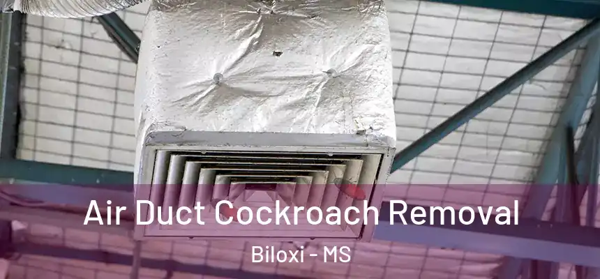  Air Duct Cockroach Removal Biloxi - MS