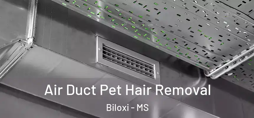  Air Duct Pet Hair Removal Biloxi - MS