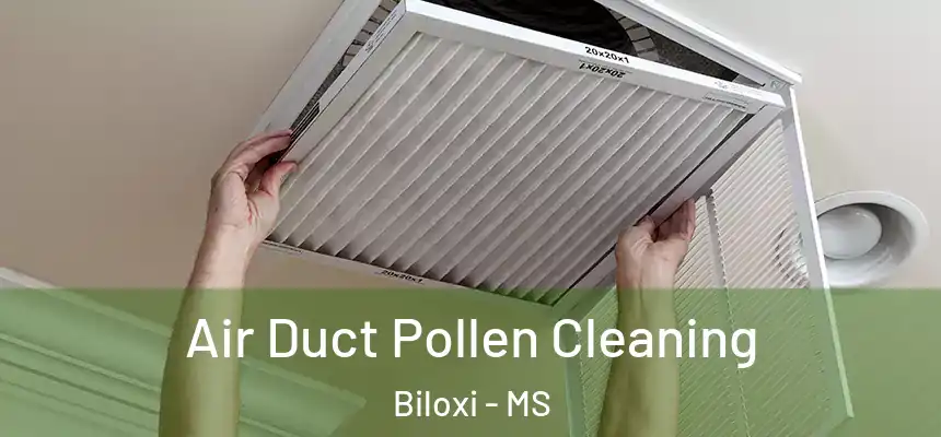  Air Duct Pollen Cleaning Biloxi - MS
