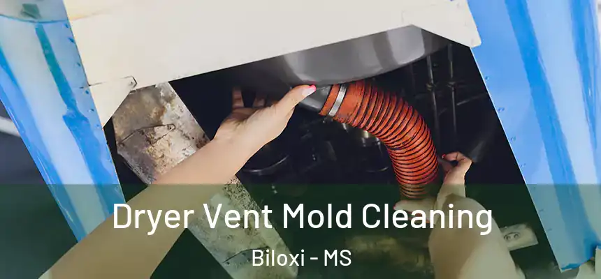  Dryer Vent Mold Cleaning Biloxi - MS