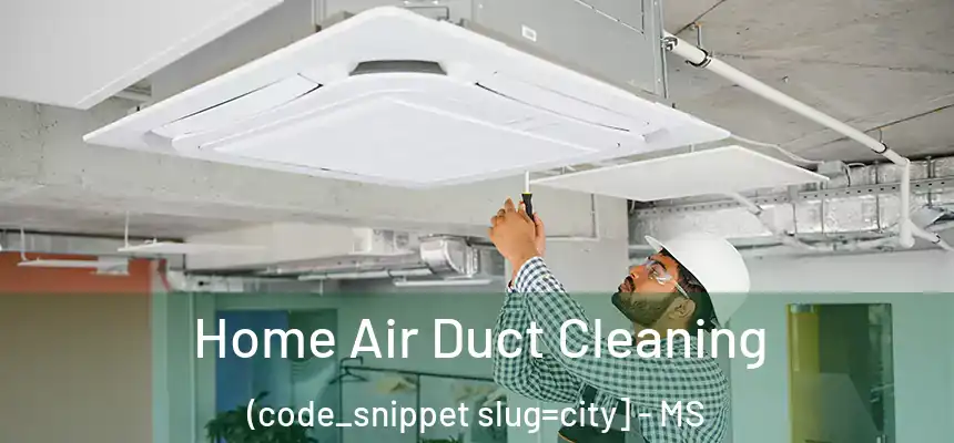  Home Air Duct Cleaning (code_snippet slug=city] - MS