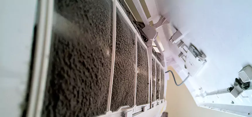 Preventive Air Duct Bacteria Removal in Biloxi