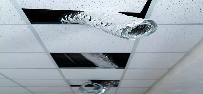 Our Air Duct Pet Hair Removal Services in Biloxi, MS