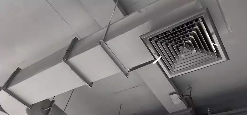 Restorative Allergy Relief Vent Cleaning – Coil, Blower & Housing Detail in Biloxi