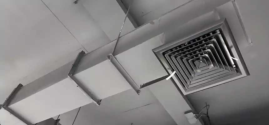 Our Rodent Droppings In Vents Services in Biloxi, MS