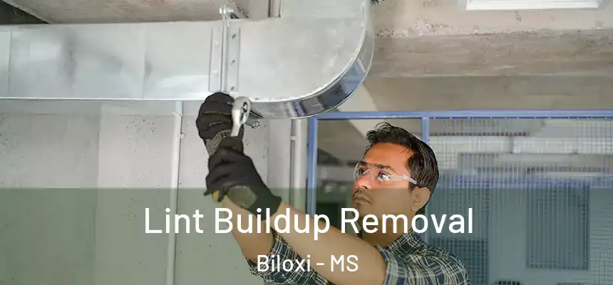  Lint Buildup Removal Biloxi - MS