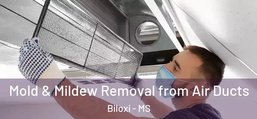  Mold & Mildew Removal from Air Ducts Biloxi - MS
