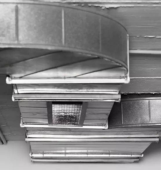 Professional Air Duct Pet Hair Removal in Biloxi, MS