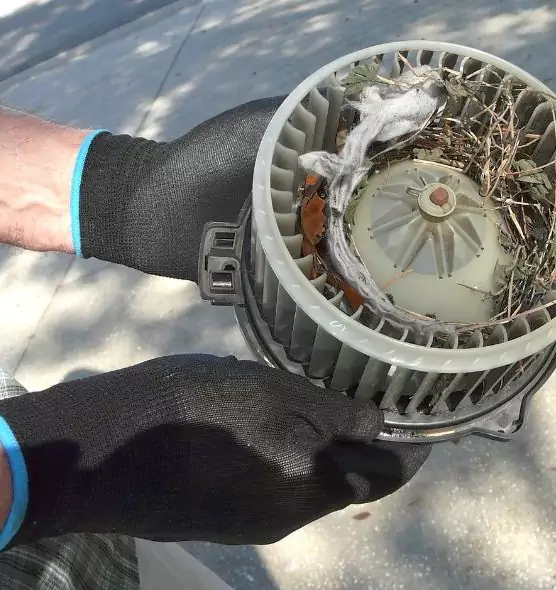 About Air Duct Rat Removal in Biloxi, MS