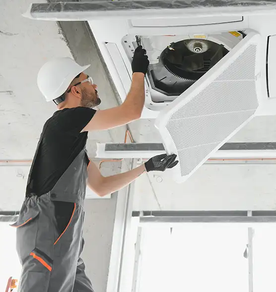 About Air Duct Rodent Removal in Biloxi, MS