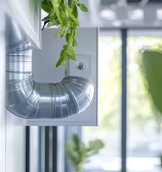 Professional Eco-Friendly Duct Cleaning Services in Biloxi, MS