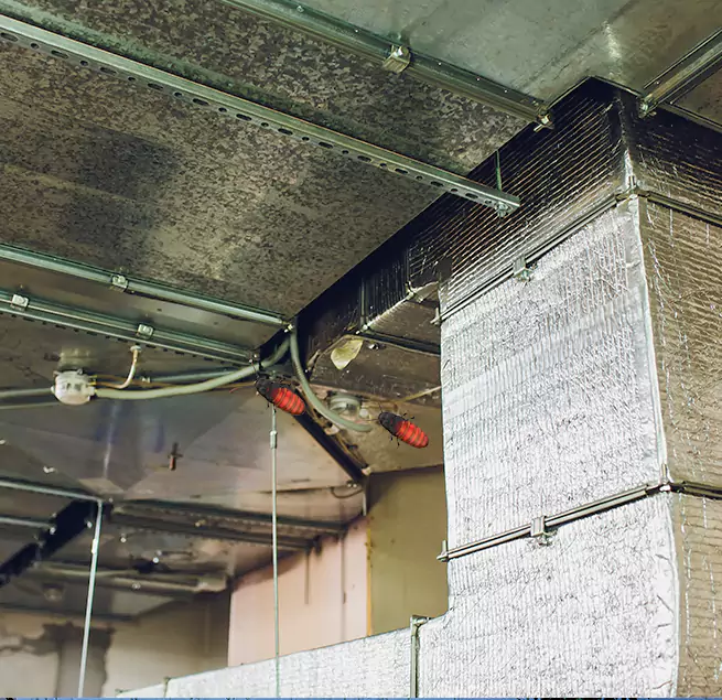 Why Homeowners & Businesses Trust Us in Biloxi, MS?