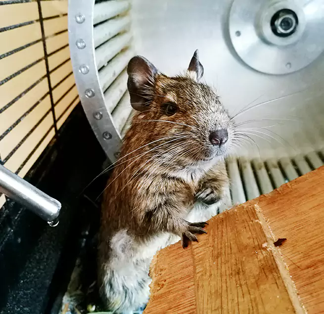 Why Homeowners & Businesses Trust Us Biloxi, MS?