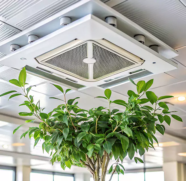 Why Homeowners & Businesses Trust Us in Biloxi, MS